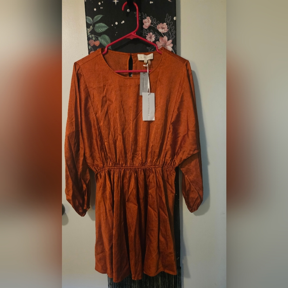 New Caballero Dress from Anthropologie